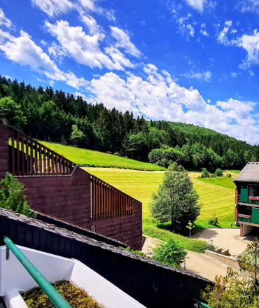 Bergblick Rehe